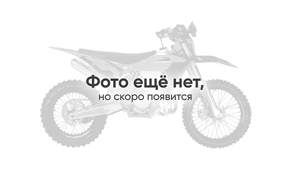 Штаны  Acerbis Logo
